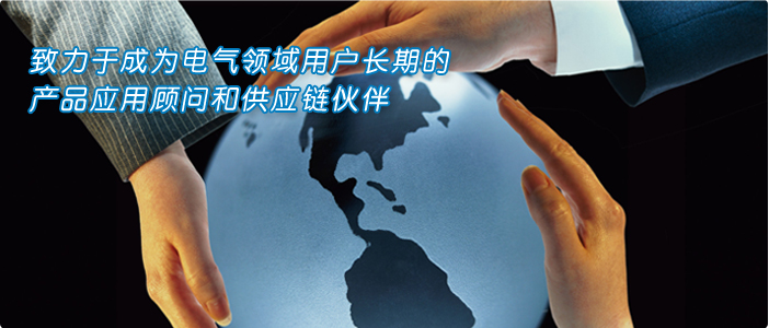 电气焦点图片3